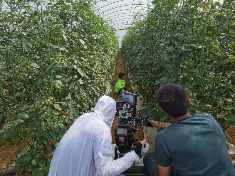 开江县产品宣传视频拍摄公司进阶指南，助力品牌抢占传播高地